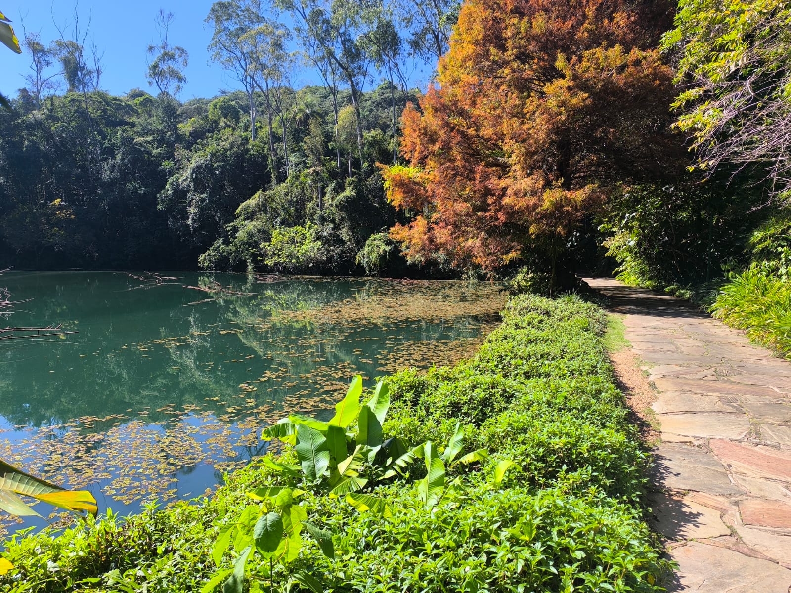 Lago em parque com vegetação e caminho de pedra